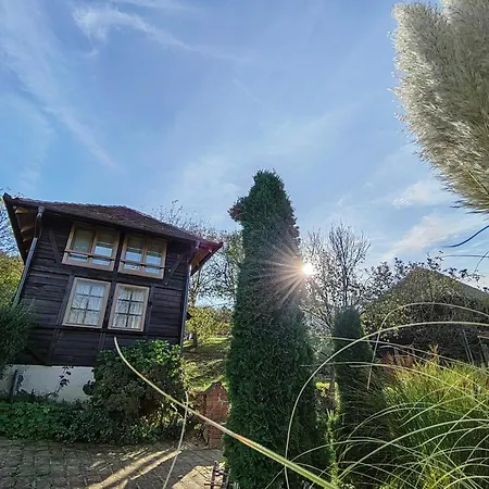 од а до ш Trsic